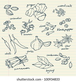 Spices doodles vector set