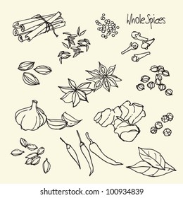 Spices doodles vector set