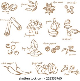 Spices doodles vector set