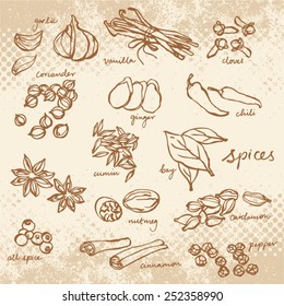 Spices doodles vector set