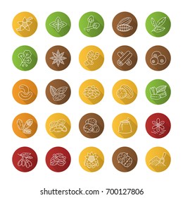 Spices flat linear long shadow icons set. Flavorings, seasonings. Peanut, vanilla, cardamom, anise, allspice. Vector outline illustration