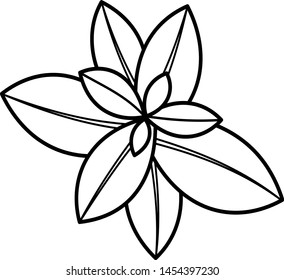 Spices for food: mint leaves in a bundle icon in outline style