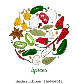 Spices in the form of a circle. Hand drawing. Garlic, hot pepper, green, yellow, red, cloves, pepper, bay leaf, tubby. hand-drawing.