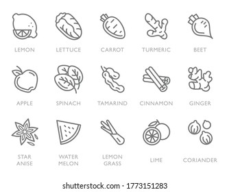 Spices, fruits, vegetables, condiments and herbs - minimal thin line web icon set. Outline icons collection. Simple vector illustration.