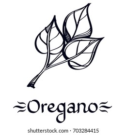 Spices and greens black and white pattern for menu design.