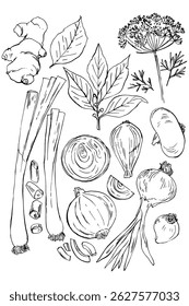 Spices and greens. Ginger, onion, bay leaf, dill. Sketch ink food vector. Vegetables outline line. Farm products