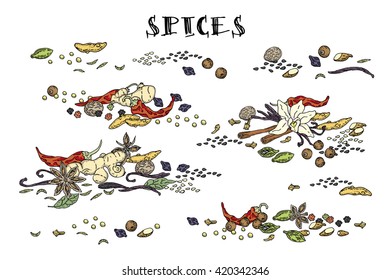 Spices. Hand drawn set. Cinnamon, pepper, cardamon, ginger, bay leafs and other spices. Vector. Isolated