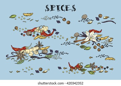 Spices. Hand drawn set. Cinnamon, pepper, cardamon, ginger, bay leafs and other spices. Vector. Isolated