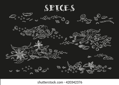 Spices. Hand drawn set. Cinnamon, pepper, cardamon, ginger, bay leafs and other spices. Vector. Isolated