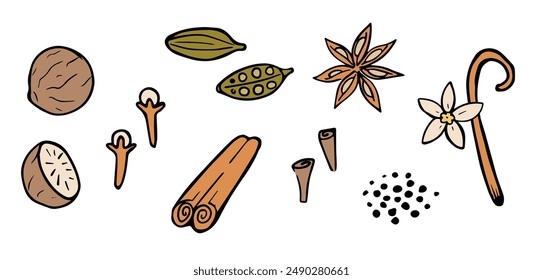 Spices hand drawn set. Nutmeg, cinnamon, star anise, vanilla, cardamom, and cloves. Mulled wine drinks ingredients. Indian spices. Vector illustration. Christmas drinks ingredients.  