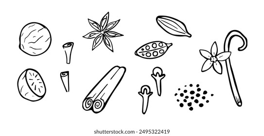 Spices hand drawn set. Nutmeg, cinnamon, star anise, vanilla, cardamom, and cloves. Mulled wine drinks ingredients. Indian spices. Vector illustration. Christmas drinks ingredients.  