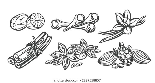Spices hand drawn set with nutmeg, cloves, vanilla, cinnamon, star anise and cardamom. Packaging, labels and culinary design with spices in vintage ink style, vector illustration.