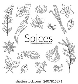 Spices. Hand drawn vector illustration. Line art. Use to create menus, packaging, prints.