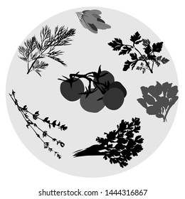 Spices herb and tomato in black 