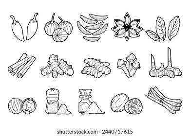 Spices and herbal element vector outline sketch illustration