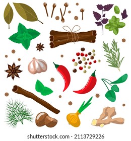 Spices and herbs background. Mint, cinnamon, cloves, anise, dill, chili, garlic, onion, ginger, nutmeg, bay leaf, spinach. Fragrant set