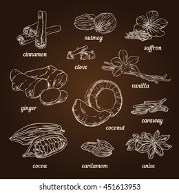 Spices and herbs for baking and cooking. Hand sketched illustrations with nuts, herbs, plants, spices