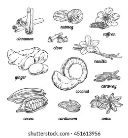 Spices and herbs for baking and cooking. Hand sketched illustrations with nuts, herbs, plants, spices