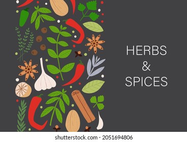 Spices and herbs banner. Flat hand drawn spicy cooking ingredients. Trendy kitchen poster design, label for spice shop.