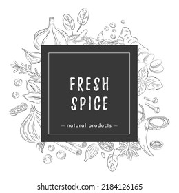 Spices and herbs banner. Vector illustration of hand drawn kitchen herbs with vanilla, anise, ginger, cinnamon, curry, basil, garlic, pepper, rosemary. Popular indian spices in doodle style for menu