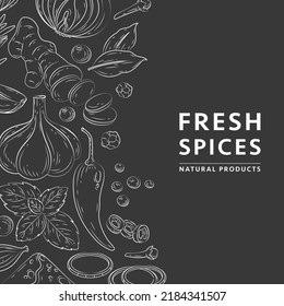 Spices and herbs banner. Vector illustration of hand drawn kitchen herbs with vanilla, anise, ginger, cinnamon, curry, basil, garlic, pepper, rosemary. Popular indian spices in doodle style for menu