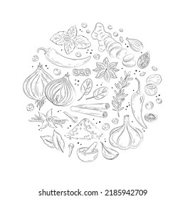 Pancarta de especias y hierbas. Ilustración vectorial de las hierbas de cocina hechas a mano con vainilla, anís, jengibre, canela, curry, albahaca, ajo, pimienta, romero. Especias indias populares en estilo doodle para el menú