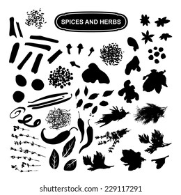 Spices and herbs black silhouette on a white background, a large set