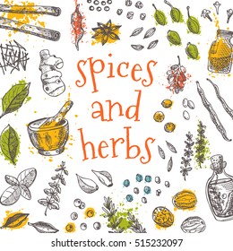 Spices and herbs card. Hand drawn vector illustration. Watercolor splashes. Cinnamon, pepper, cardamon, ginger, basil, capers, thyme, oregano, barberry, juniper, saffron, coriander, vanilla, bay leaf 