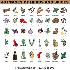 Spices and herbs colored icons set. Delicious food ingredient collection. Organic culinary seasoning. Flat vector illustration
