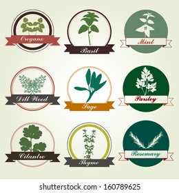 Spices And Herbs Colorful Label Set - vector eps10 