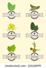 Spices And Herbs Colorful Retro Label Set vector illustration