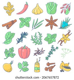 Spices, herbs and condiments - flat design vector icon collection.