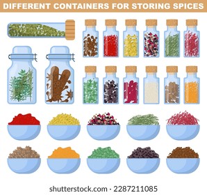 Spices and herbs in containers, pots and bowls. Delicious food ingredient collection. Storing of organic culinary seasoning. Flat vector illustration