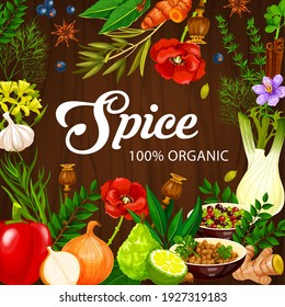 Spices and herbs, cooking seasonings and condiments vector herbal vegetables. Organic farm herbs and flavoring seasonings garlic and rosemary, culinary cinnamon, lime and ginger, celery and pepper