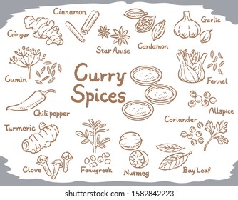 Spices and herbs for curry or Indian cuisine.  Vector illustration.