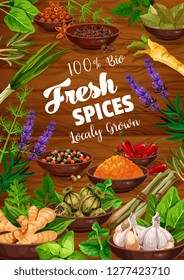 Spices and herbs food ingredients with vegetable seasonings and condiments on wooden background. Vector parsley, mint and basil, chili pepper, garlic and ginger, dill, rosemary, turmeric and anise