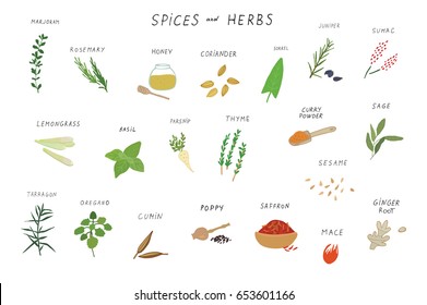 Spices and herbs food vector doodle illustrations set