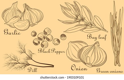 Spices and herbs: garlic, bay leaf, onion, pepper and dill