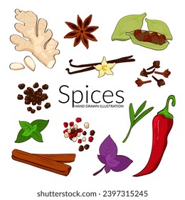 Spices and herbs. Hand drawn vector illustration. Ginger, cinnamon, vanilla, anise, basil, rosemary, cardamon, pepper, cloves and mint. Perfect for use to create culinary  projects, branding, menu