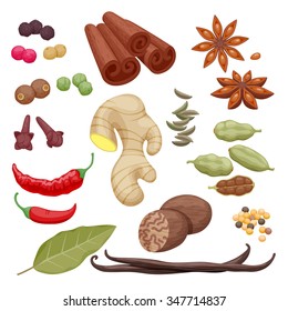 Spices and herbs icons set vector illustration. Anise cinnamon cloves ginger pepper cinnamon cardamom vanilla laurel cumin symbols.