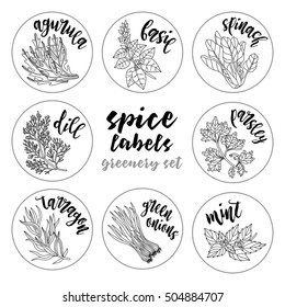 Spices and herbs jar labels and stickers. Contour vector condiment greenery set with arugula, basil, spinach, dill, parsley, tarragon, green onions, mint. Botanical illustrations