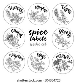 Spices and herbs jar labels and stickers. Contour vector condiment herbal set with rosemary, oregano, thyme, cumin, savory, marjoram, sage, caraway seeds. Botanical illustrations