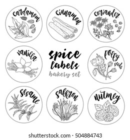 Spices and herbs jar labels and stickers. Contour vector condiment bakery set with cardamom, coriander, cinnamon, vanilla, poppy seed, sesame, nutmeg, saffron. Botanical illustrations