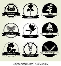 Spices And Herbs Label Set - vector eps10