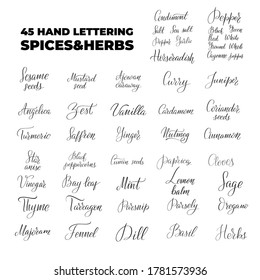 Spices and herbs lettering names set. Inspirational handwritten brush lettering. Vector calligraphy stock illustration isolated on white. Typography for banners, badges, postcard, t-shirt, prints.