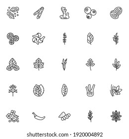 Los iconos de la línea de especias y hierbas se establecen. colección de símbolos de estilo lineal, paquete de signos de contorno. gráficos vectoriales. El conjunto incluye íconos - condimento de palomitas de maíz, especias de cardamomo, bastón de canela, hierba de tomillo, hoja de albahaca