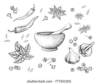 spices and herbs in a mortar with a pestle in graphic illustration isolated black outline on a white background for the menus of restaurants cafes posters banners flyers