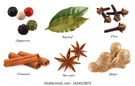 Spices and herbs. Peppercorn, bay leaf, dried cloves, cassia cinnamon, star anise, ginger root. 3d vector realistic objects. Food icon set