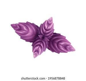 Spices and herbs realistic composition with isolated image of purple colored leaves of basil vector illustration