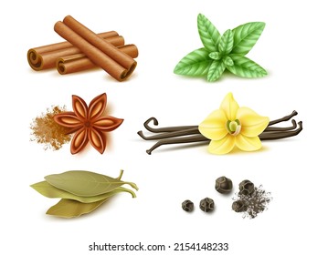 Spices and herbs. Realistic dry and fresh cooking aroma ingredients, vanilla pods and flower, cinnamon sticks, seeds and anise star, bay and mint leaf, black peppercorns. Vector set